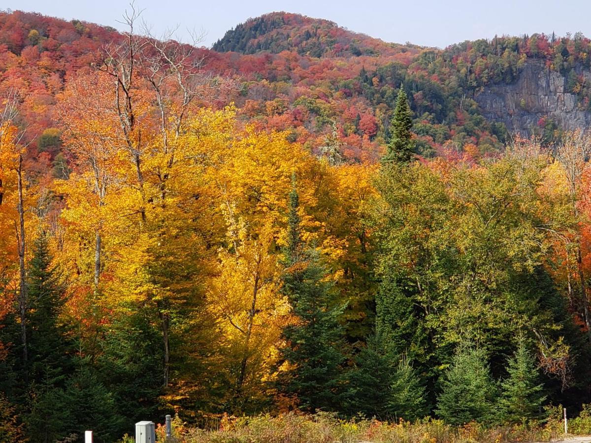 Chalet F116 Mont-Tremblant Nord Lac-Superieur Exterior foto